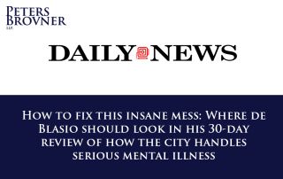 How to fix this insane mess: Where de Blasio should look in his 30-day review of how the city handles serious mental illness