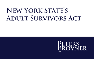 New York State’s Adult Survivors Act