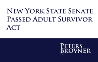 New York State Senate Passed Adult Survivor Act