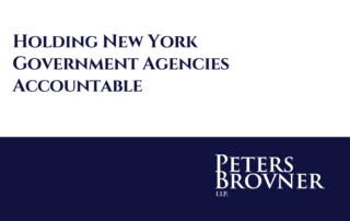 Holding New York Government Agencies Accountable